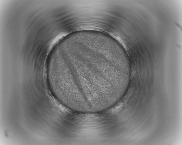 X0000098150979200805081038