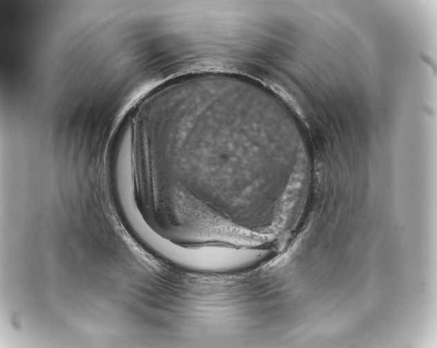 X0000098150981200805081038