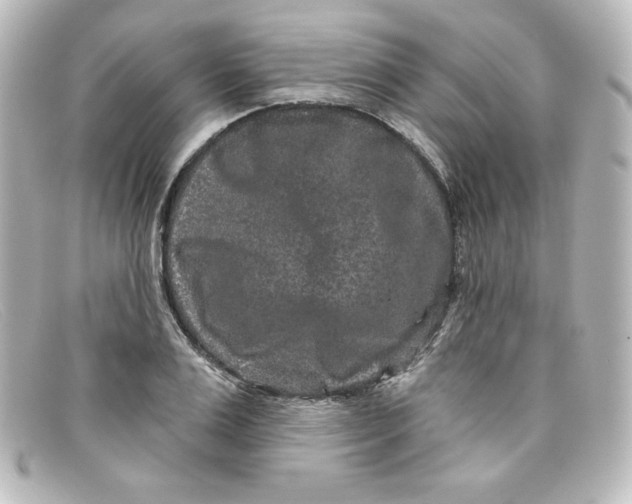 X0000098150983200805081038