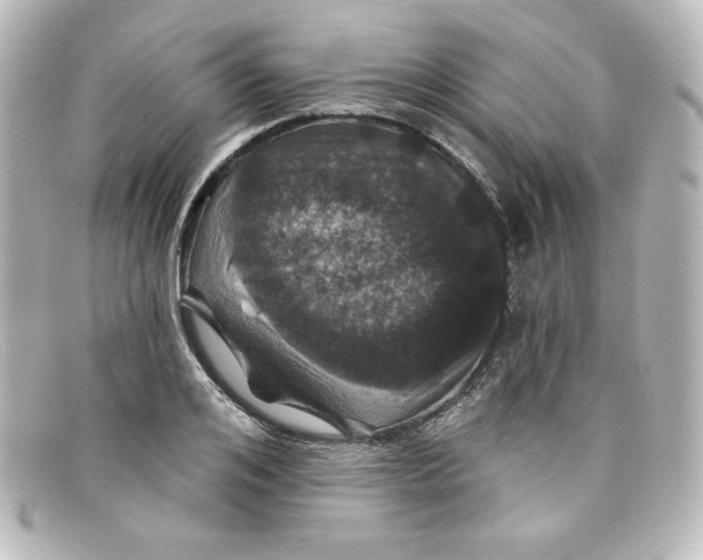 X0000098150984200805081038