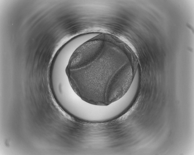 X0000098150989200805081038
