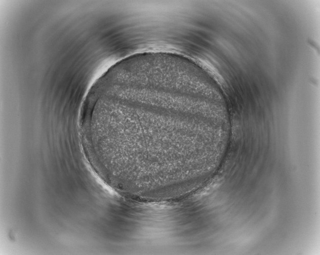 X0000098150990200805081038