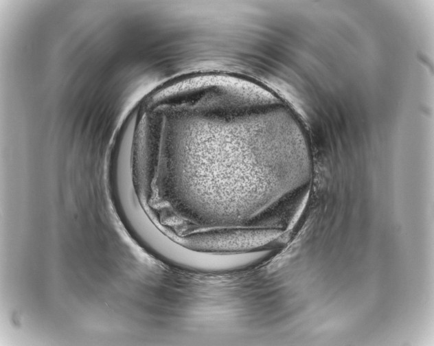 X0000098150991200805081038