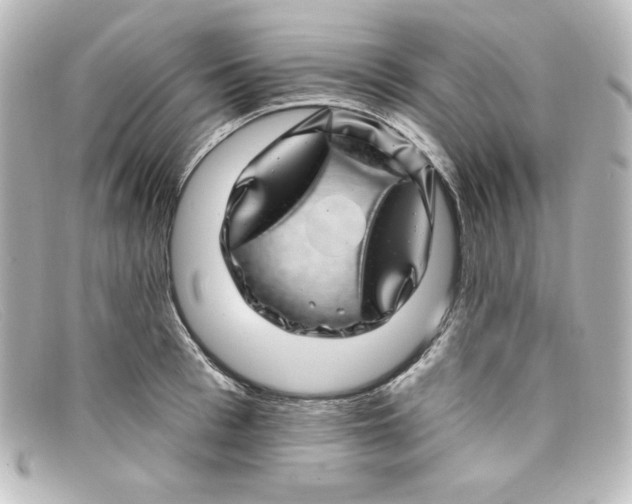 X0000098150993200805081038