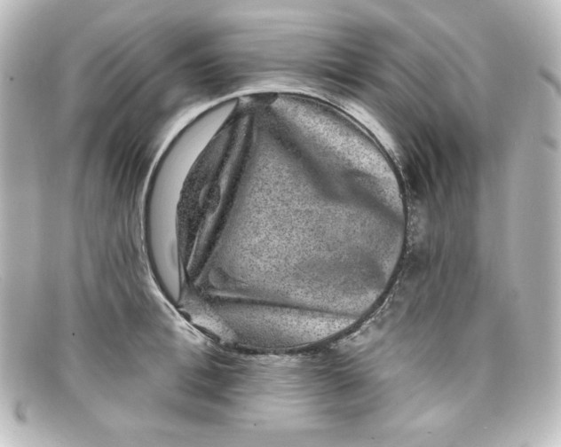 X0000098150996200805081038