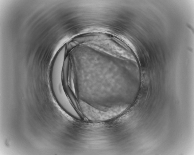 X0000098150997200805081038