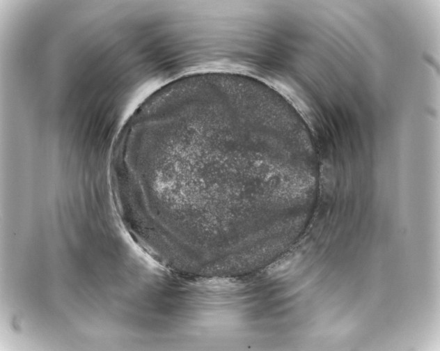 X0000098150998200805081038