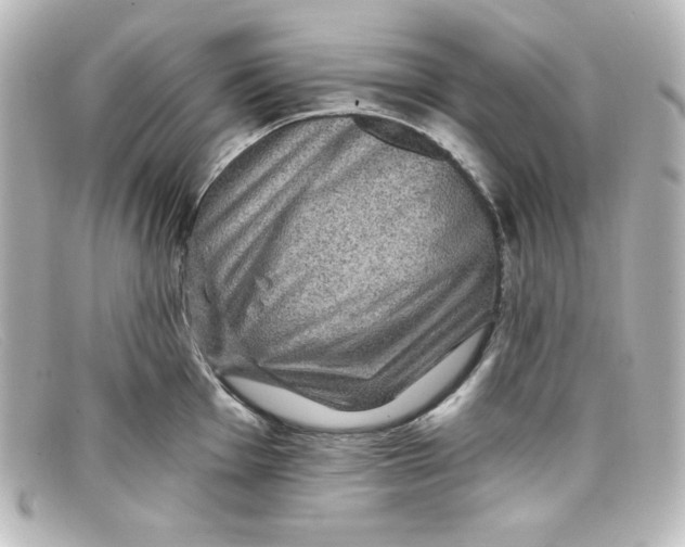X0000098151001200805081038