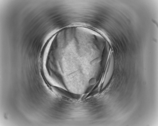 X0000098151003200805081038