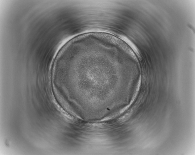 X0000098151004200805081038