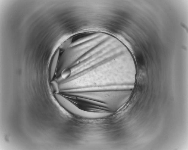 X0000098151005200805081038