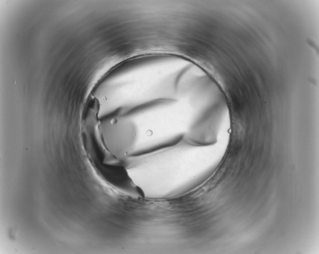 X0000098151006200805081038