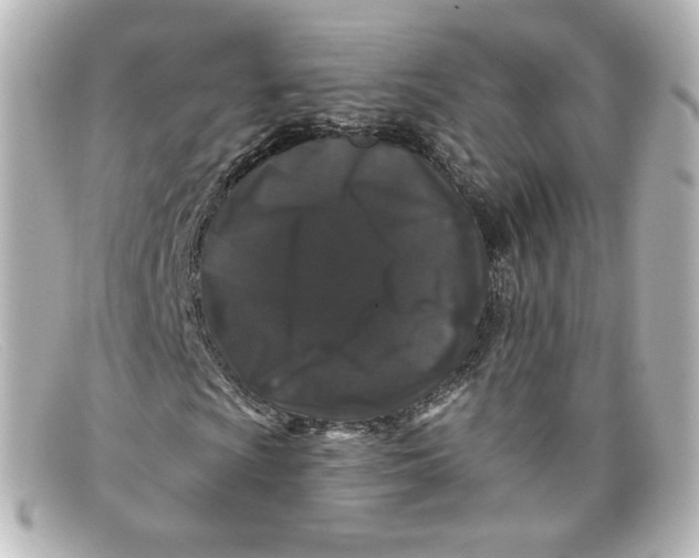 X0000098151009200805081037