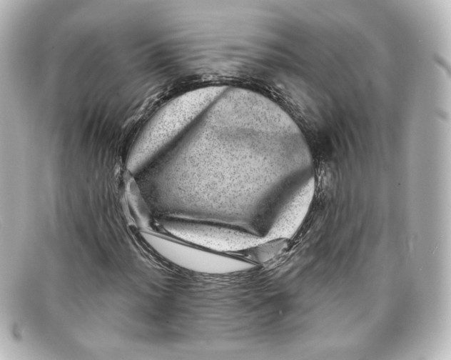 X0000098151012200805081037