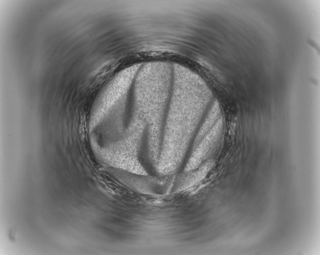 X0000098151014200805081037
