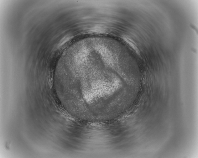 X0000098151015200805081037
