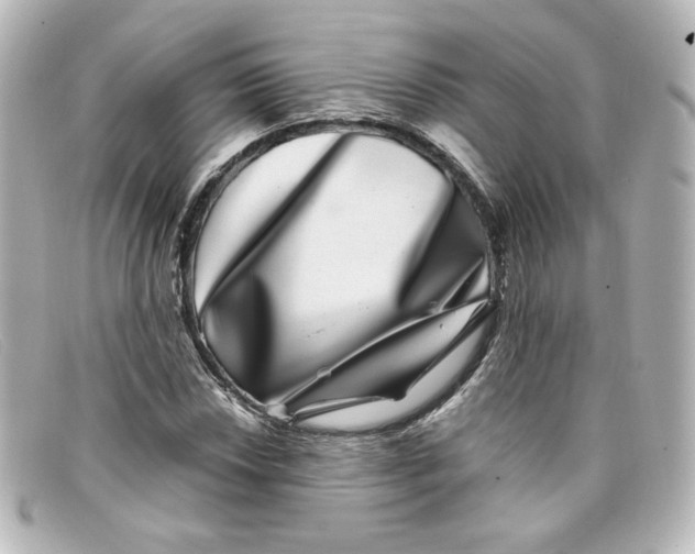 X0000098151018200805081037