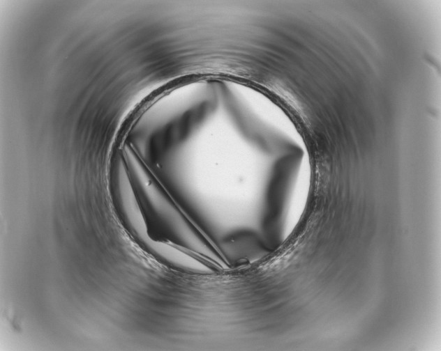 X0000098151020200805081037
