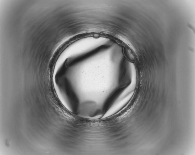 X0000098151021200805081037