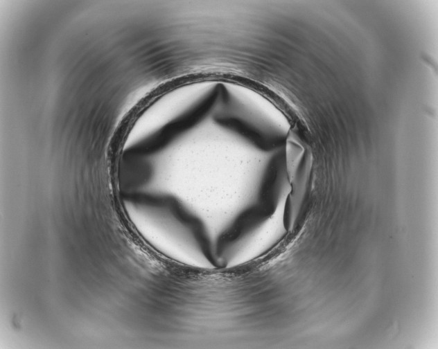 X0000098151022200805081037