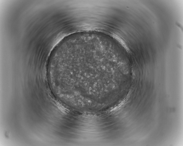 X0000098151023200805081037