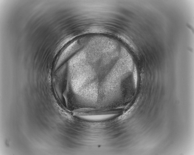 X0000098151025200805081037