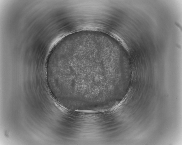 X0000098151027200805081037