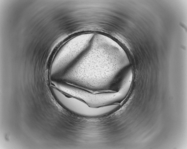 X0000098151029200805081037