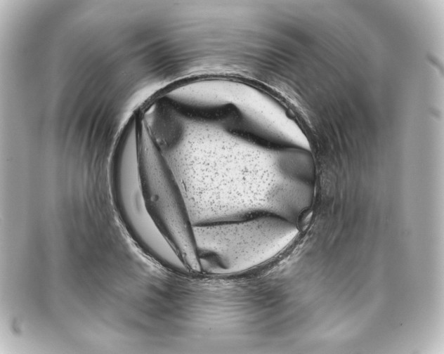 X0000098151030200805081037