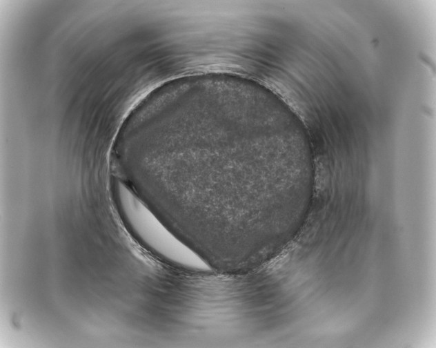 X0000098151031200805081037