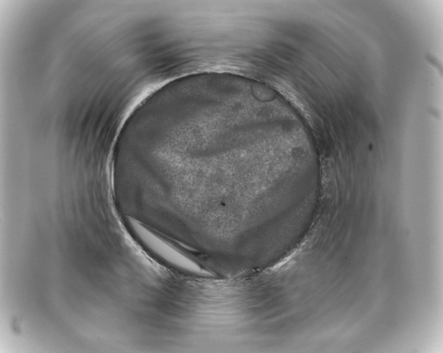 X0000098151032200805081037