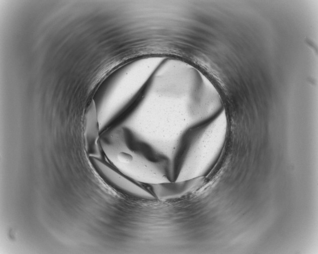 X0000098151033200805081037