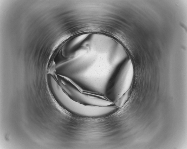 X0000098151034200805081037