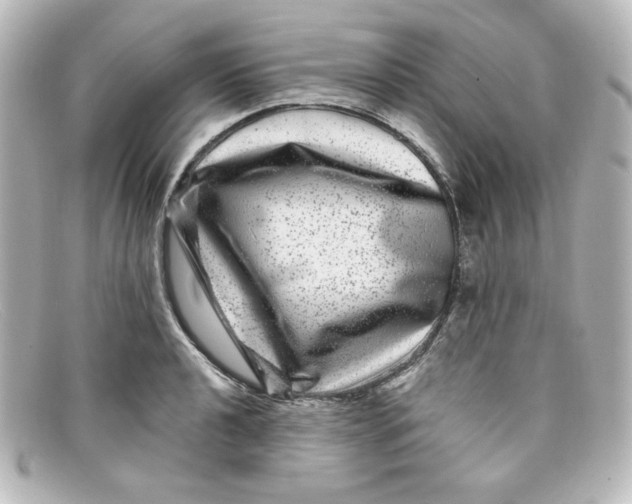 X0000098151040200805081037
