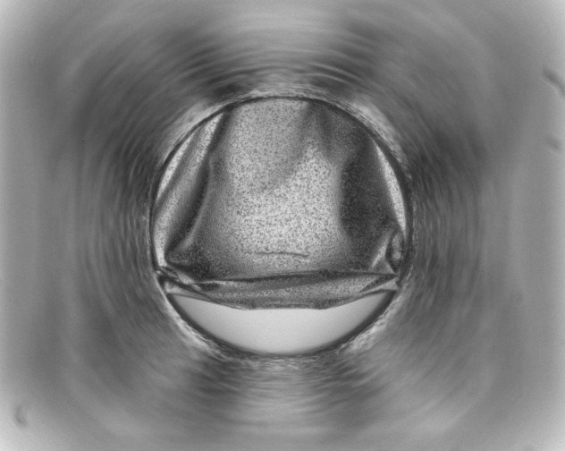 X0000098151041200805081037