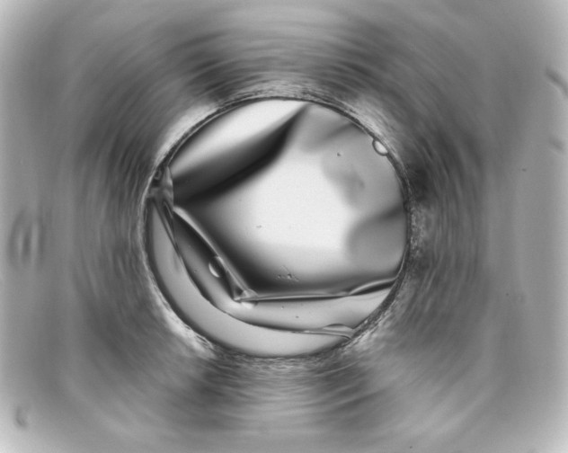 X0000098151042200805081037