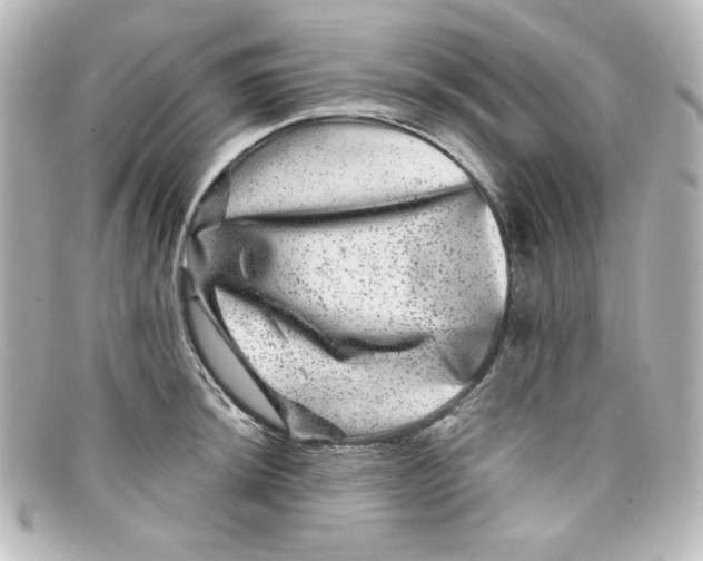 X0000098151044200805081037