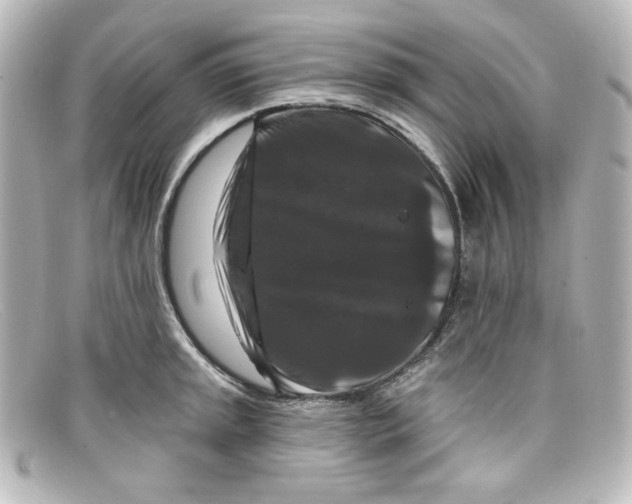 X0000098151045200805081037