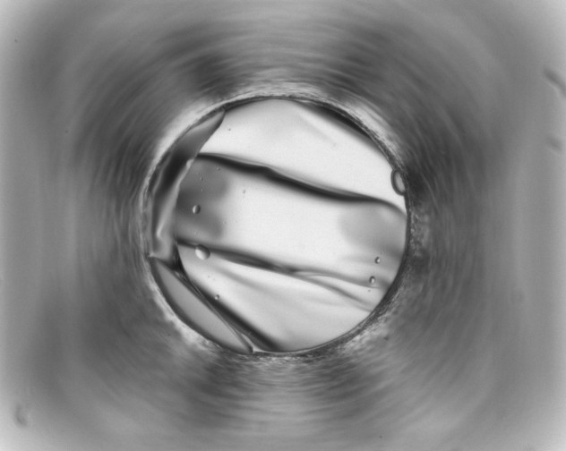 X0000098151046200805081037