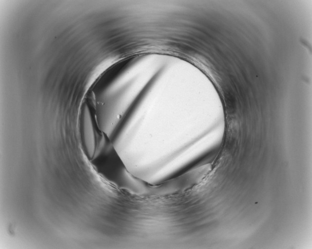 X0000098151050200805081038