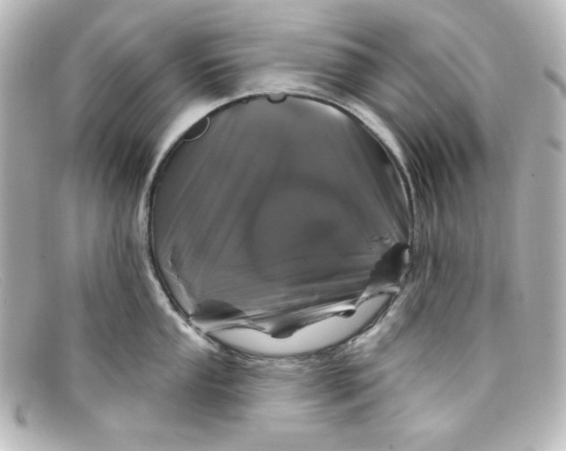 X0000098151053200805081038
