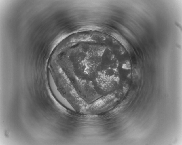 X0000098151055200805081038