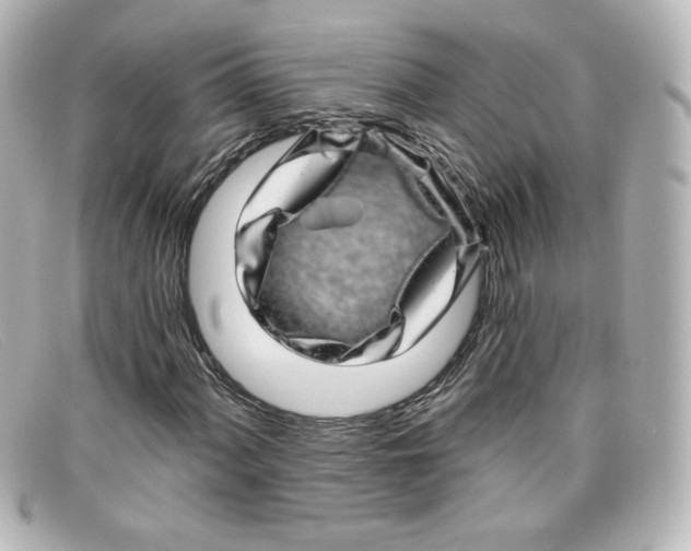 X0000098151060200805081037