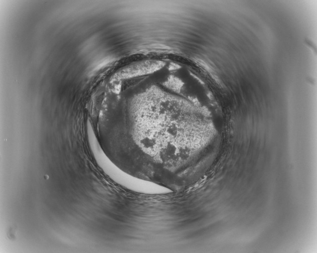 X0000098151063200805081037