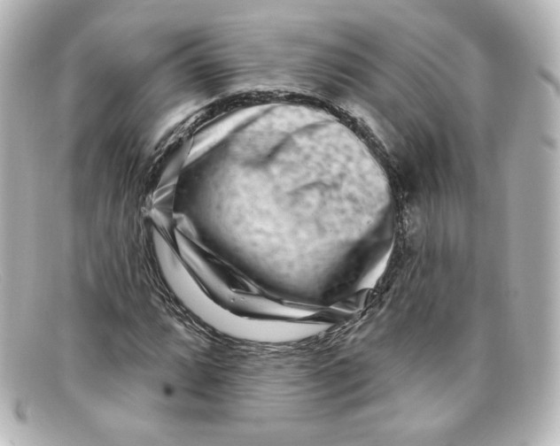X0000098151064200805081037
