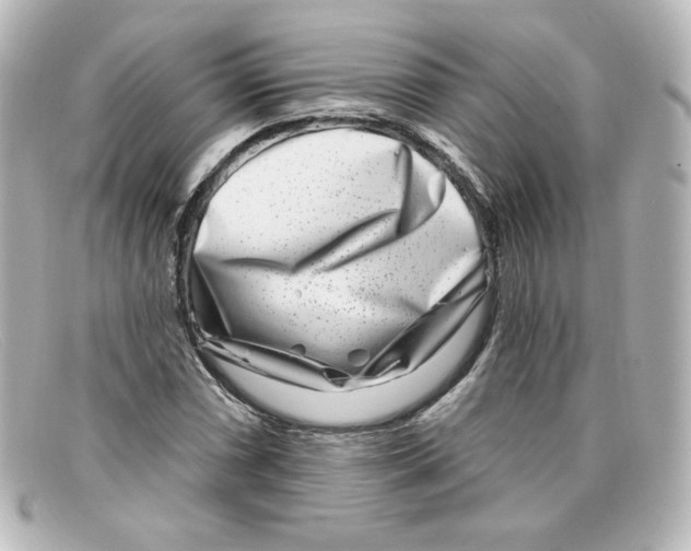 X0000098151066200805081037
