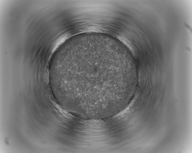 X0000098151067200805081037
