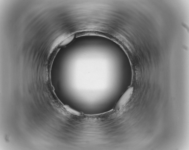 X0000098151069200805081037