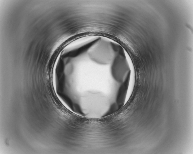 X0000098151070200805081037