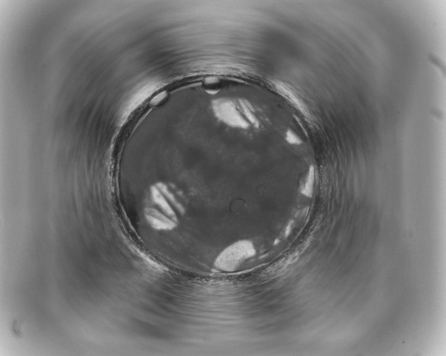 X0000098151071200805081037